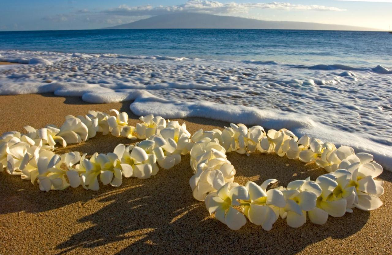 Mountain View Getaway, Free Parking And Beach Steps Away Honolulu Luaran gambar