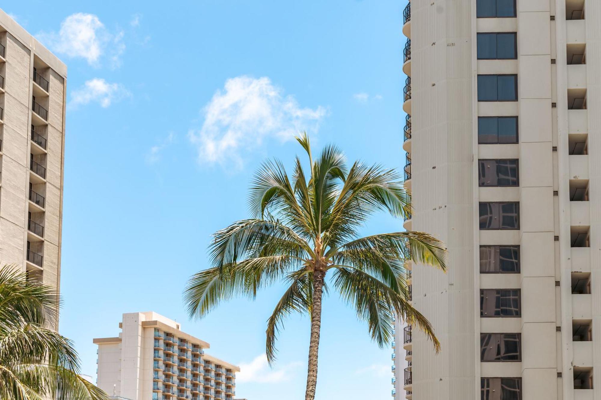 Mountain View Getaway, Free Parking And Beach Steps Away Honolulu Luaran gambar